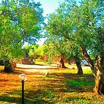 Re - Il Paradiso Degli Ulivi Con Piscina E Vista Mare Orosei