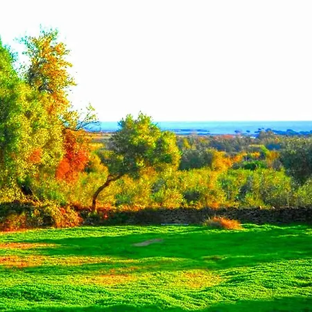 Landsted Re - Il Paradiso Degli Ulivi Con Piscina E Vista Mare *